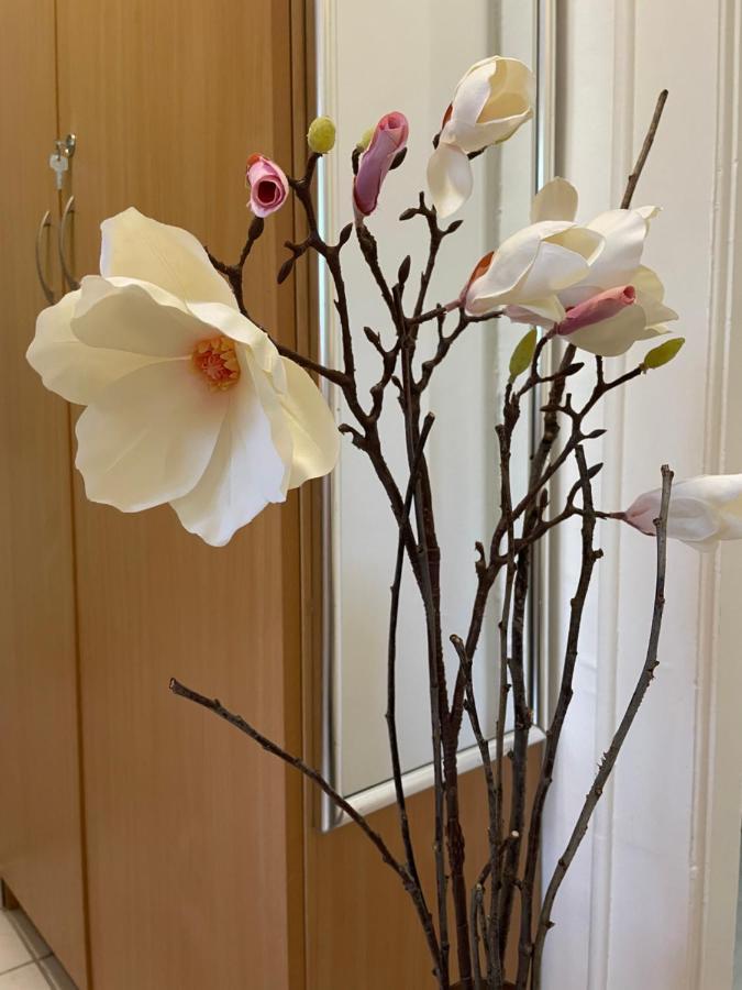 Magnolia Apartman Gyor Luaran gambar